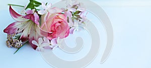 Delicate pink roses on a white background. Festive flower arrangement.