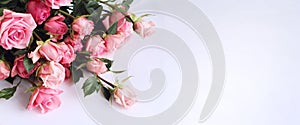 Delicate pink roses on a white background. Festive flower arrangement.