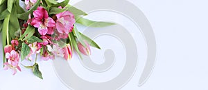 Delicate pink tulips and Alstroemeria on a white background. Delicate flower arrangement. Spring bouquet.