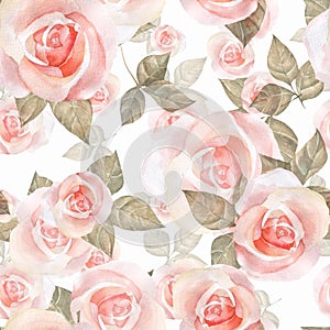 Delicate roses, watercolor floral seamless pattern 9