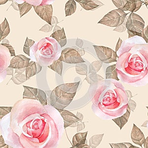 Delicate roses. Watercolor floral seamless pattern 7