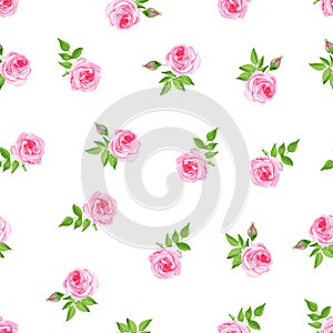 Delicate roses watercolor seamless vector print
