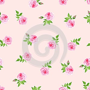 Delicate roses watercolor seamless vector print