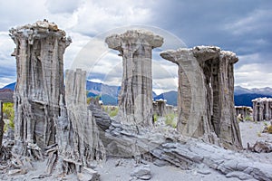 Delicate Sand Tufa