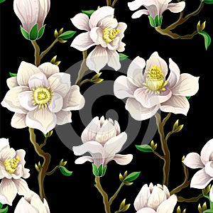 Delicate seamless pattern with magnolia flowers on a black background.