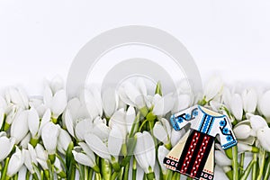 Delicate snowdrops on white with  martisor symbol 1st of march celebration concept