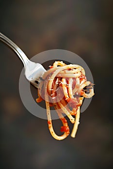 Delicate spaghetti wound around a fork
