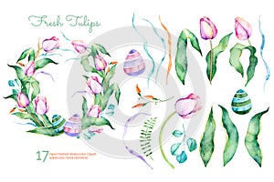 Delicate spring floral collection with tulips,leaves,branches,easter eggs