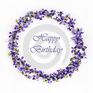 Delicate spring violets on a white background close up. Happy birthday card