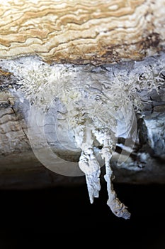 Delicate Stalactites Hanging in a Serene Cave Interior