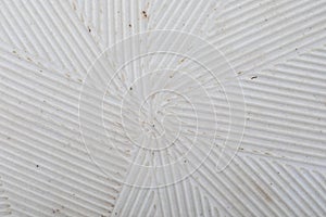 Delicate striped texture stria in white. Close-up of Suribachi and Surikogi Japanese