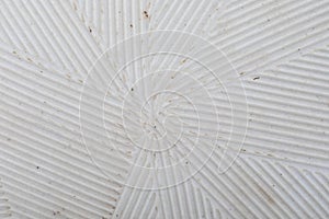 Delicate striped texture stria in white. Close-up of Suribachi and Surikogi Japanese photo