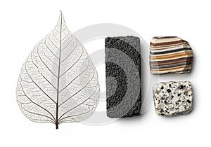 A delicate, translucent leaf skeleton is positioned next to three stones. The first stone is
