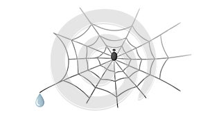 Delicate spider web dewdrop nature intricate pattern design, vector design Generative AI