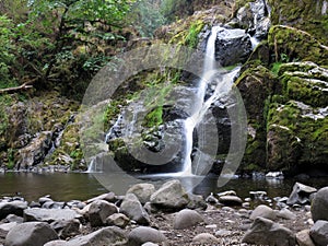 Delicate Waterfall in the Pacific Northwest