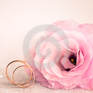 Delicate Wedding background with Rings and Pink Flower