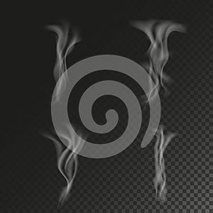 Delicate white cigarette smoke waves on transparent background vector illustration