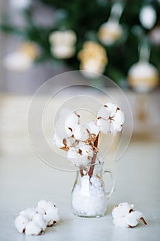 Delicate white cotton flowers