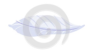 Delicate White Feather Design with Soft Texture, vector design Generative AI