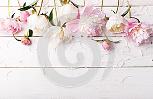 Delicate white pink peony with petals flowers and white ribbon on wooden board. Overhead top view, flat lay. Copy space. Birthday,