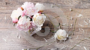 Delicate white pink peony with petals flowers and white ribbon on wooden board. Overhead top view, flat lay. Copy space. Birthday,