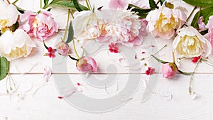 Delicate white pink peony with petals flowers and white ribbon on wooden board. Overhead top view, flat lay. Copy space. Birthday,