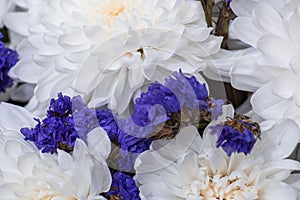 Delicate white and purple flowers