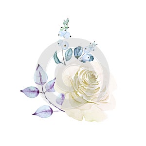 Delicate white rose flower, snowberry branches with green and purple leaves isolated on white background. Watercolor hand drawn