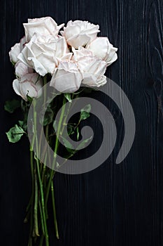 Delicate white roses on black wooden background close up, beautiful light pink flowers bouquet on dark gray wood, greeting card