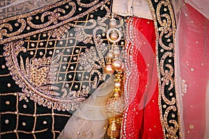 Delicately designed lehenga skirt an indian wedding dress