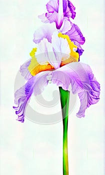 Delicately painted purple watercolor Flowers