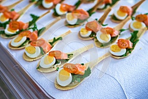 Delicates, appetizer filling with red fish and greens. Catering service.