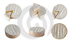 Delicios Camembert cheese, isolation