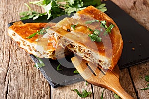 Delicious appetizer: Balkan burek with minced meat close-up. horizontal