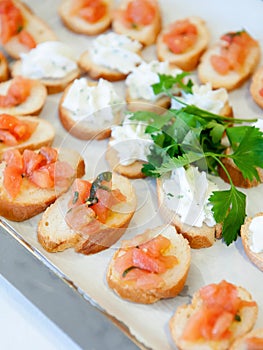 Delicious appetizer canapes