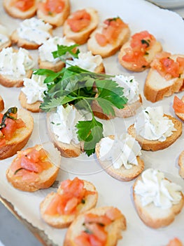 Delicious appetizer canapes