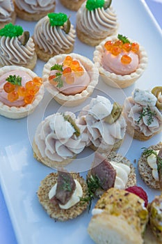 Delicious appetizer canapes on board for celebratory table