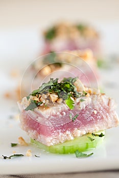 Delicious appetizer with tuna