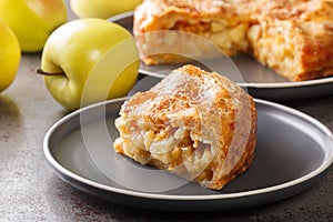 Delicious apple cheddar pie with crispy crust close-up on a plate. horizontal