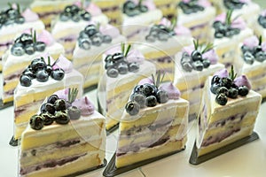 Delicious assorted blueberry yogurt slice on bakery display for sale