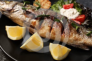 Delicious baked sea bass fish and ingredients on black plate, closeup