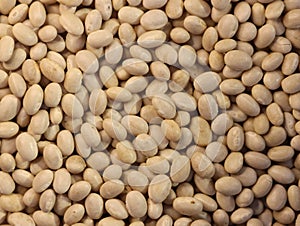 Delicious beans beans healthy natural legumes needed background photo