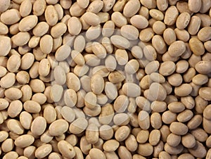 delicious beans beans healthy natural legumes needed background photo