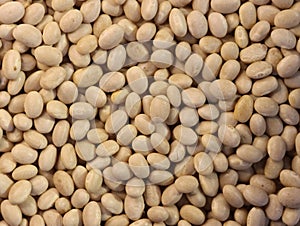 delicious beans beans healthy natural legumes needed background photo