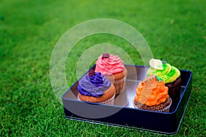 Delicious, beautiful cakes in a box. Picnic at bachelorette part