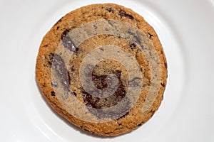 Delicious Belgian Chocolate Chip Cookie on a White Plate