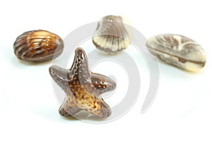 Delicious Belgian pralines in the form of seashell