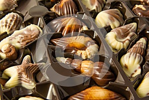 Delicious Belgian pralines in the form of seashells