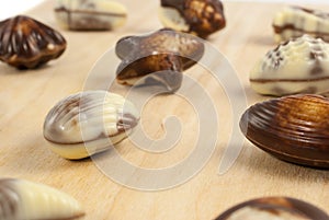 Delicious Belgian pralines in the form of seashells