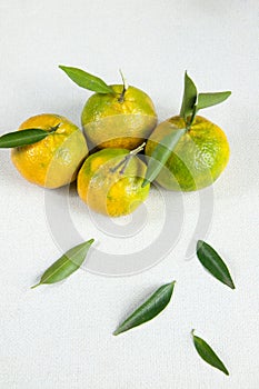 Delicious bergamotas on the table photo